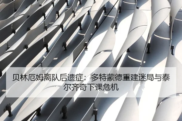 贝林厄姆离队后遗症：多特蒙德重建迷局与泰尔齐奇下课危机